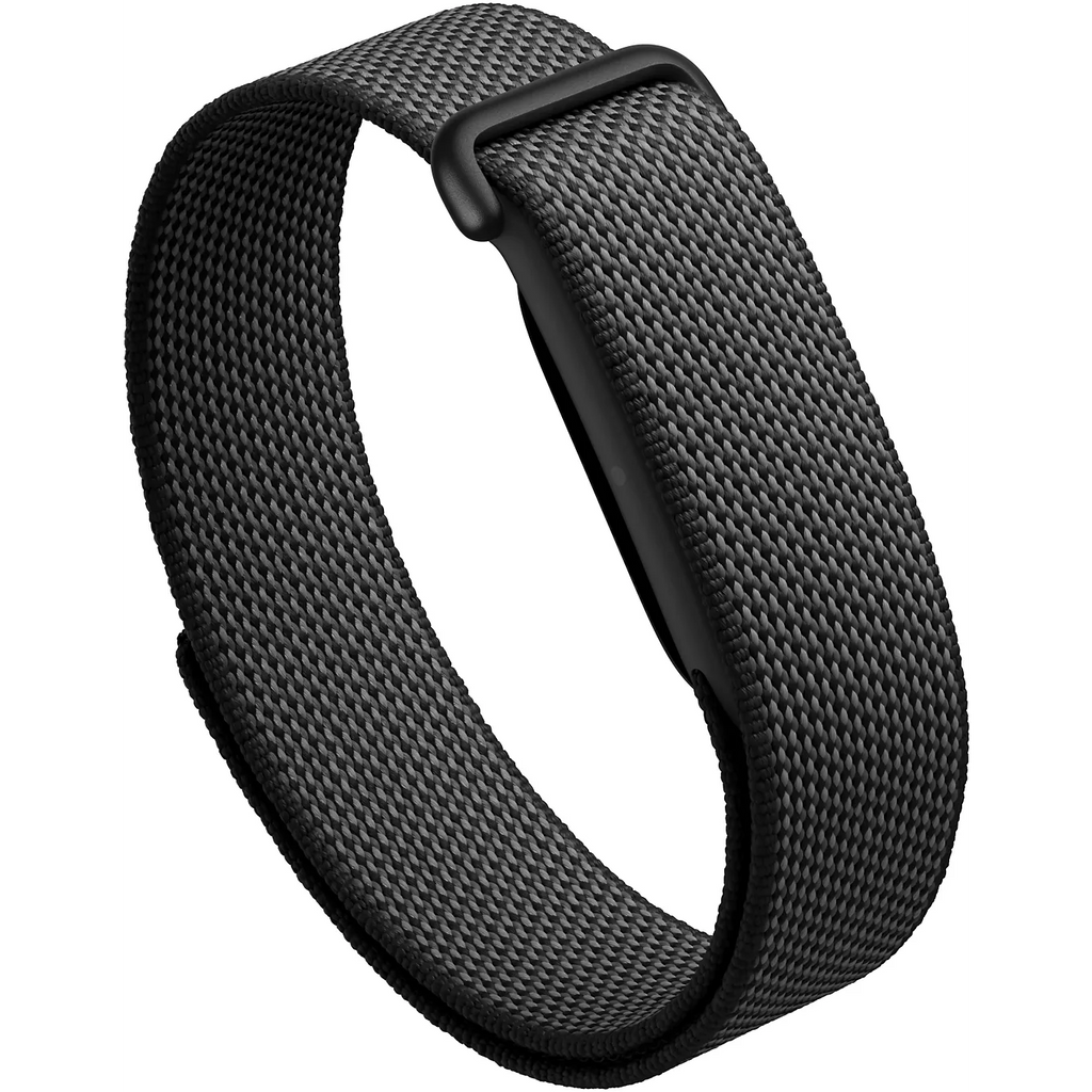 Google Fitbit Air