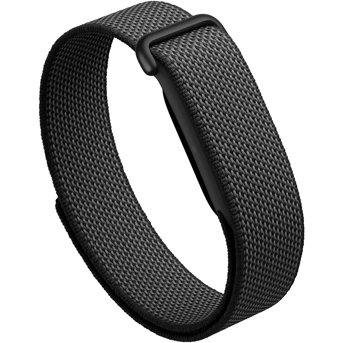 Google Fitbit Air
