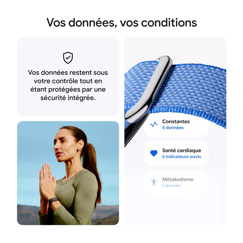 Google Fitbit Air