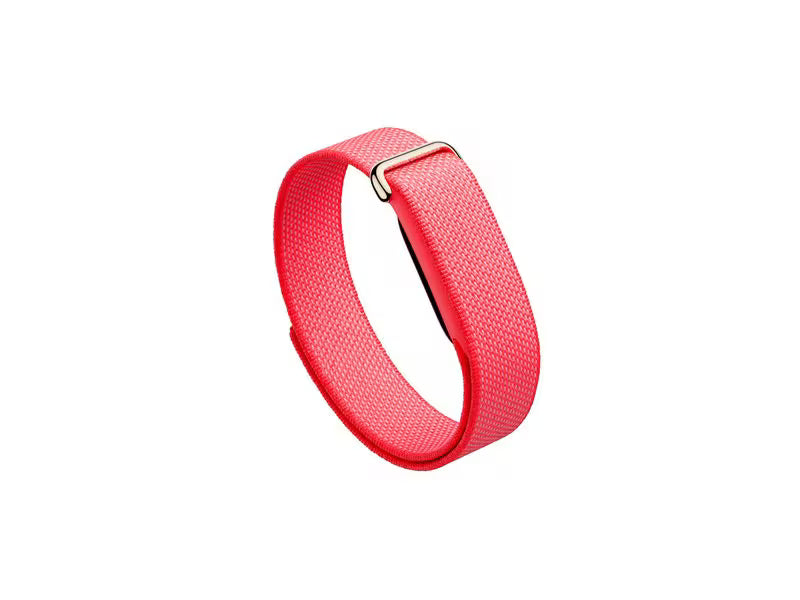 Google Fitbit Air